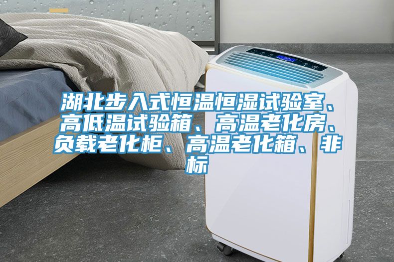 湖北步入式恒溫恒濕試驗(yàn)室、高低溫試驗(yàn)箱、高溫老化房、負(fù)載老化柜、高溫老化箱、非標(biāo)