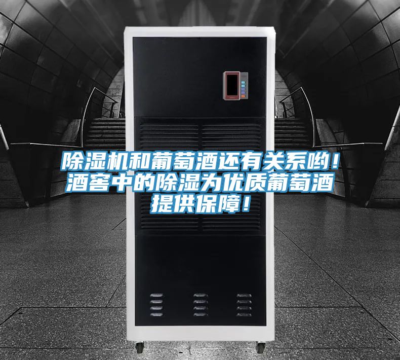 除濕機(jī)和葡萄酒還有關(guān)系喲！酒窖中的除濕為優(yōu)質(zhì)葡萄酒提供保障！