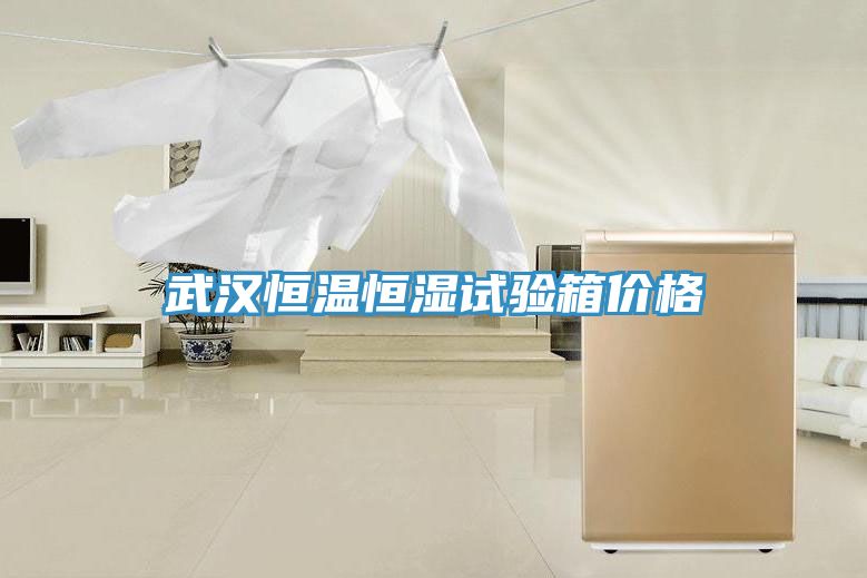 武漢恒溫恒濕試驗(yàn)箱價格