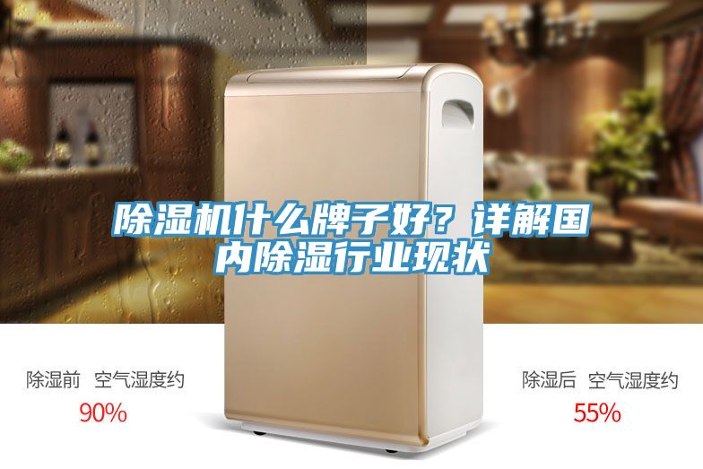 除濕機(jī)什么牌子好？詳解國(guó)內(nèi)除濕行業(yè)現(xiàn)狀