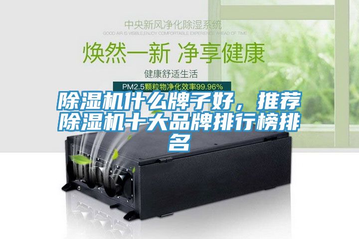 除濕機(jī)什么牌子好，推薦除濕機(jī)十大品牌排行榜排名