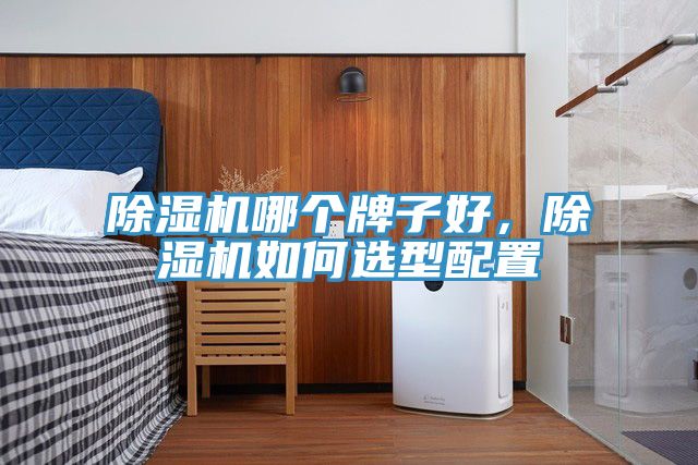 除濕機(jī)哪個(gè)牌子好，除濕機(jī)如何選型配置