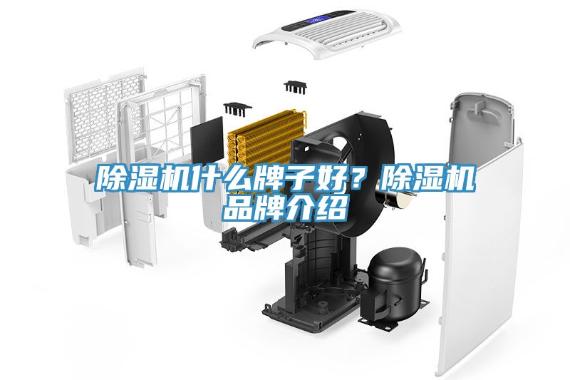 除濕機(jī)什么牌子好？除濕機(jī)品牌介紹