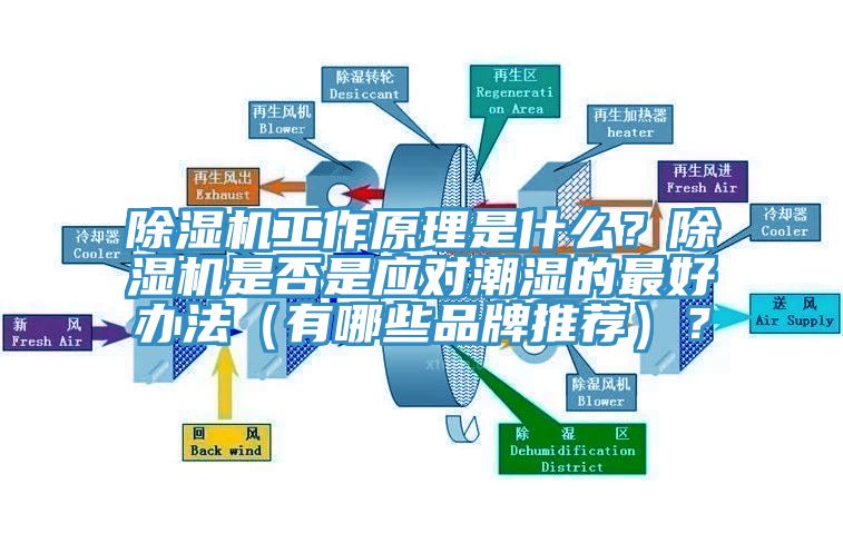 除濕機(jī)工作原理是什么？除濕機(jī)是否是應(yīng)對(duì)潮濕的最好辦法（有哪些品牌推薦）？