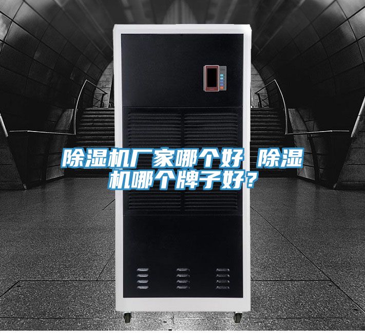 除濕機(jī)廠家哪個(gè)好 除濕機(jī)哪個(gè)牌子好？