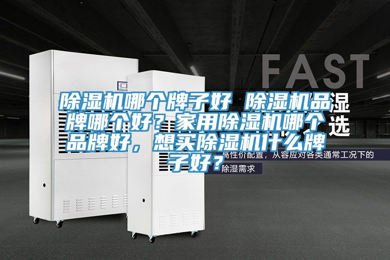 除濕機(jī)哪個牌子好 除濕機(jī)品牌哪個好？家用除濕機(jī)哪個品牌好，想買除濕機(jī)什么牌子好？