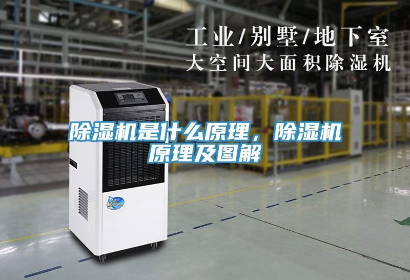除濕機(jī)是什么原理，除濕機(jī)原理及圖解