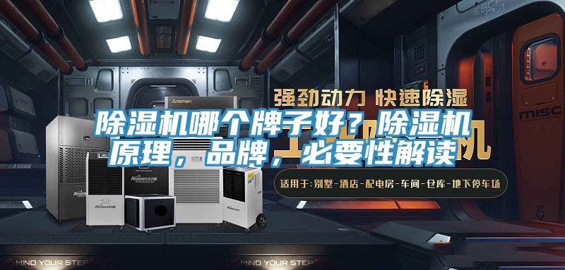 除濕機(jī)哪個(gè)牌子好？除濕機(jī)原理，品牌，必要性解讀