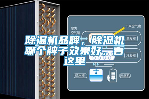 除濕機(jī)品牌，除濕機(jī)哪個(gè)牌子效果好，看這里
