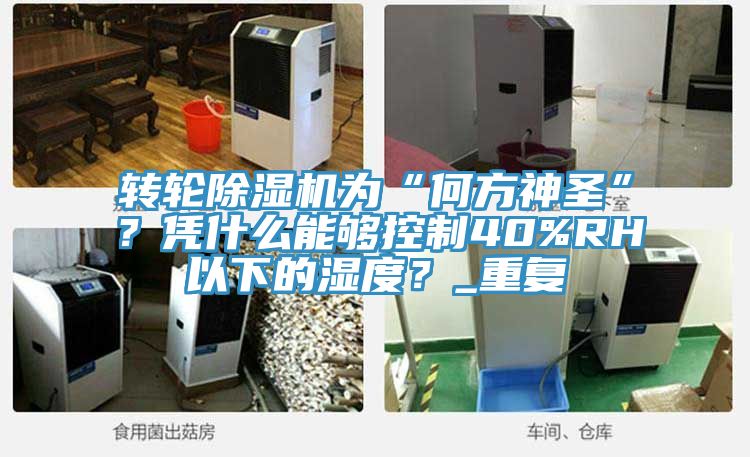 轉(zhuǎn)輪除濕機(jī)為“何方神圣”？憑什么能夠控制40%RH以下的濕度？_重復(fù)