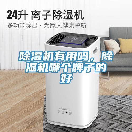 除濕機(jī)有用嗎，除濕機(jī)哪個(gè)牌子的好