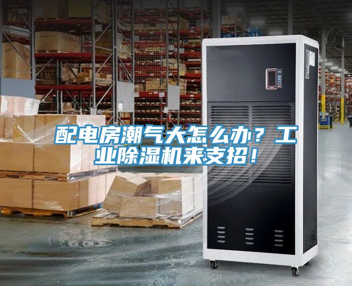 配電房潮氣大怎么辦？工業(yè)除濕機來支招！