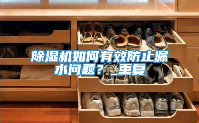 除濕機(jī)如何有效防止漏水問(wèn)題？_重復(fù)