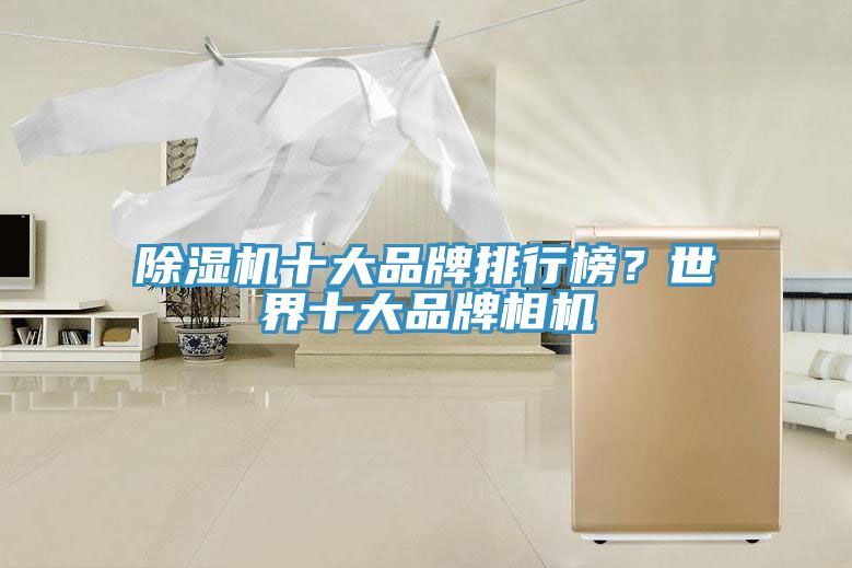 除濕機(jī)十大品牌排行榜？世界十大品牌相機(jī)