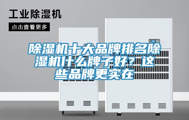 除濕機(jī)十大品牌排名除濕機(jī)什么牌子好？這些品牌更實(shí)在