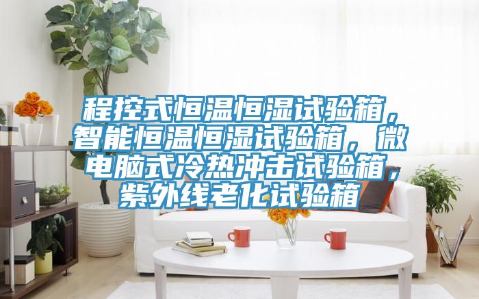 程控式恒溫恒濕試驗箱，智能恒溫恒濕試驗箱，微電腦式冷熱沖擊試驗箱，紫外線老化試驗箱