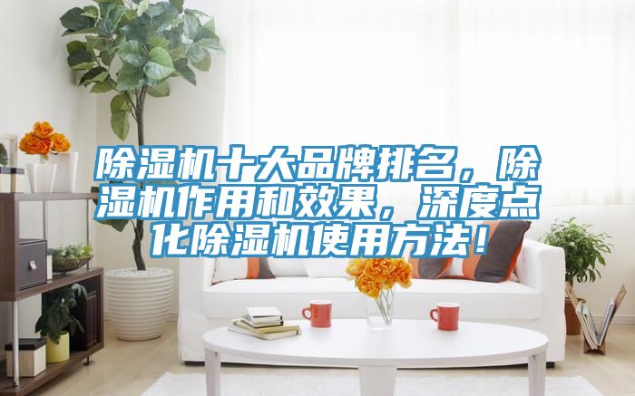 除濕機(jī)十大品牌排名，除濕機(jī)作用和效果，深度點(diǎn)化除濕機(jī)使用方法！
