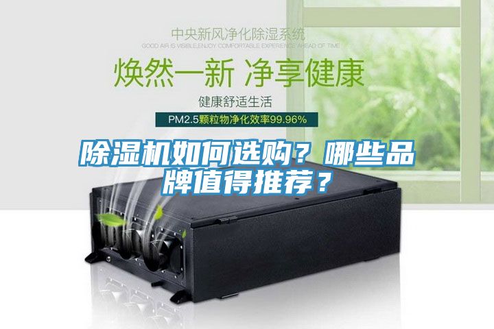 除濕機如何選購？哪些品牌值得推薦？