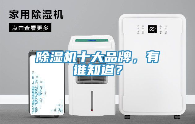 除濕機(jī)十大品牌，有誰知道？