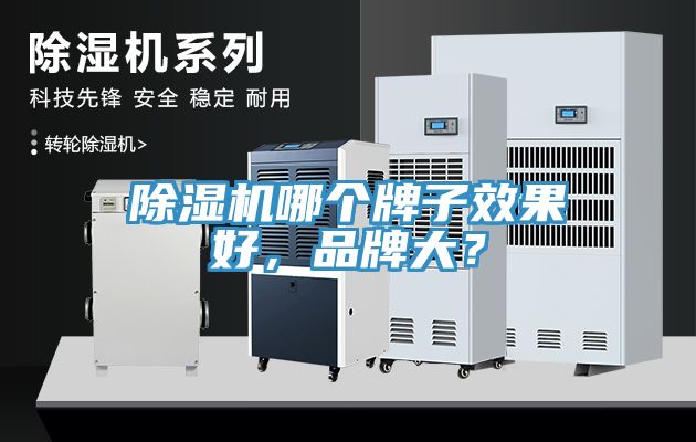 除濕機(jī)哪個(gè)牌子效果好，品牌大？