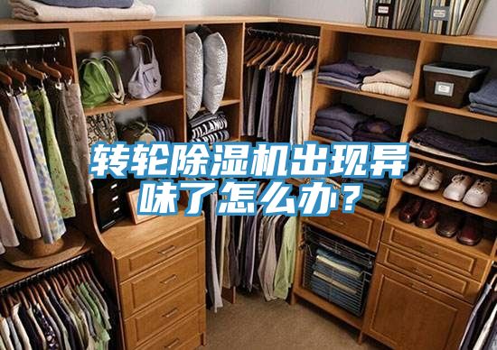 轉(zhuǎn)輪除濕機(jī)出現(xiàn)異味了怎么辦？