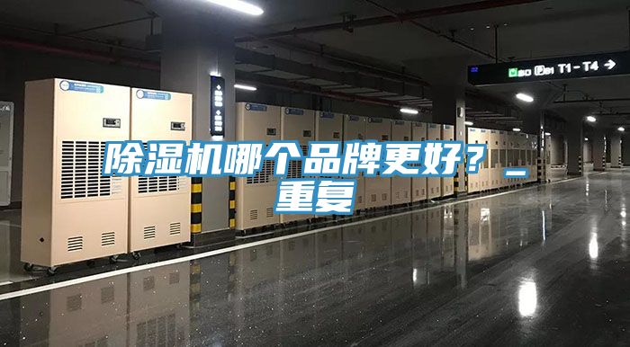 除濕機(jī)哪個(gè)品牌更好？_重復(fù)