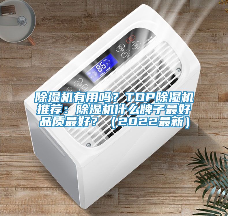 除濕機(jī)有用嗎？TOP除濕機(jī)推薦：除濕機(jī)什么牌子最好品質(zhì)最好？（2022最新）