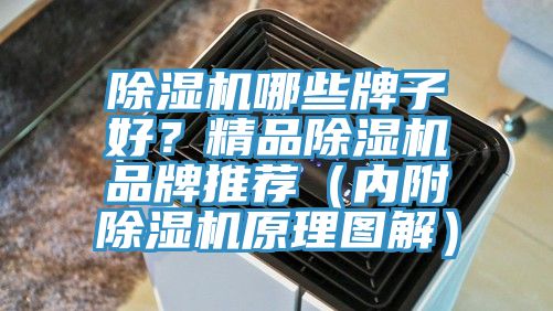 除濕機(jī)哪些牌子好？精品除濕機(jī)品牌推薦（內(nèi)附除濕機(jī)原理圖解）