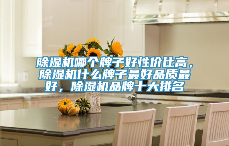 除濕機(jī)哪個牌子好性價比高，除濕機(jī)什么牌子最好品質(zhì)最好，除濕機(jī)品牌十大排名