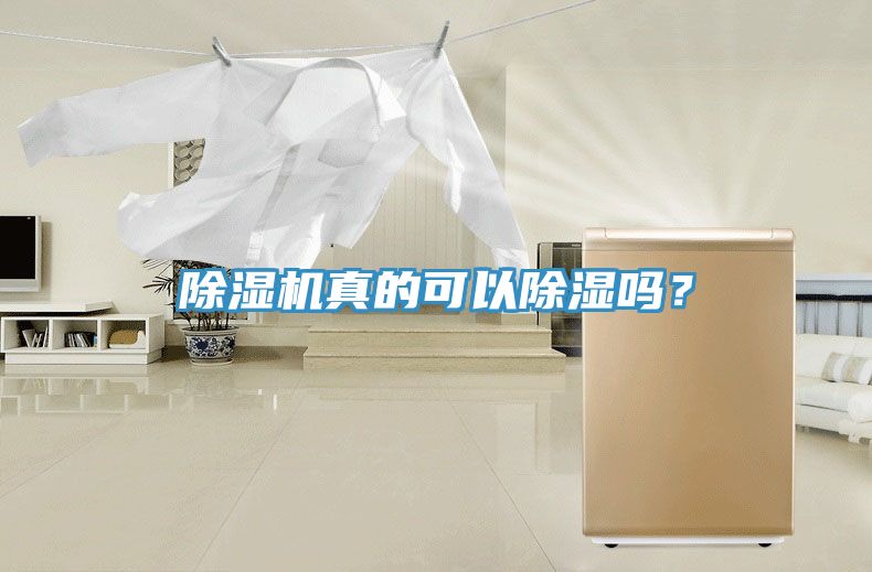 除濕機(jī)真的可以除濕嗎？