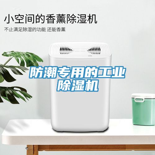 防潮專(zhuān)用的工業(yè)除濕機(jī)