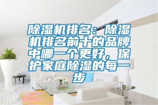 除濕機排名：除濕機排名前十的品牌中哪一個更好，保護(hù)家庭除濕的每一步