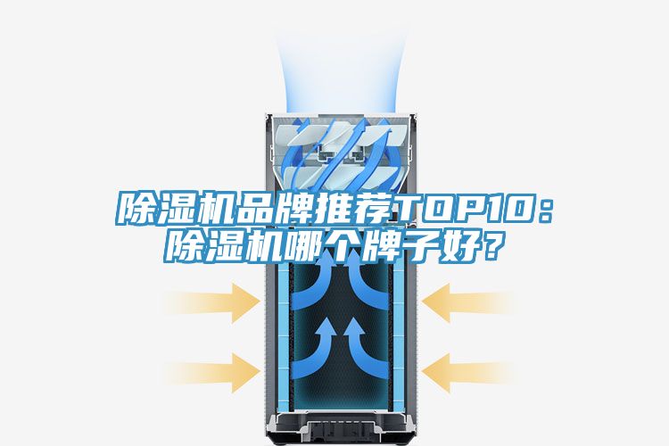 除濕機(jī)品牌推薦TOP10：除濕機(jī)哪個(gè)牌子好？