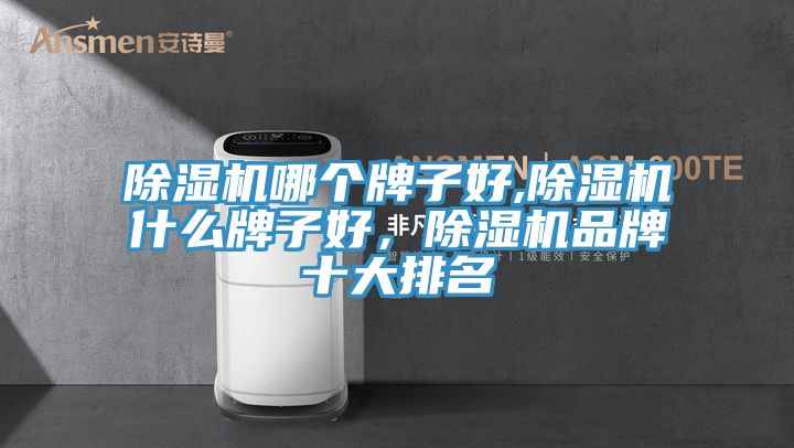 除濕機(jī)哪個牌子好,除濕機(jī)什么牌子好，除濕機(jī)品牌十大排名