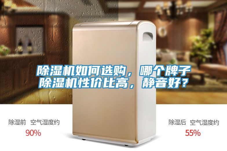 除濕機如何選購，哪個牌子除濕機性價比高，靜音好？