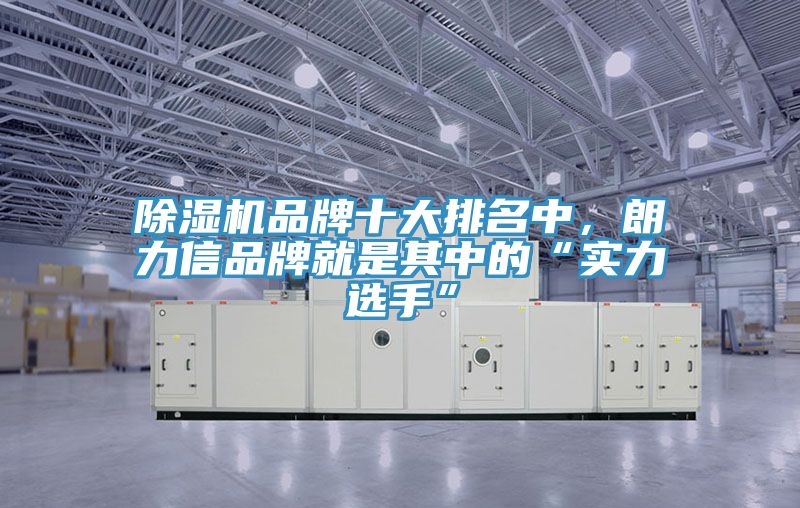 除濕機品牌十大排名中，朗力信品牌就是其中的“實力選手”