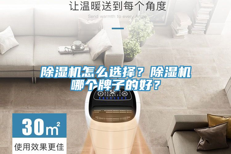除濕機(jī)怎么選擇？除濕機(jī)哪個(gè)牌子的好？