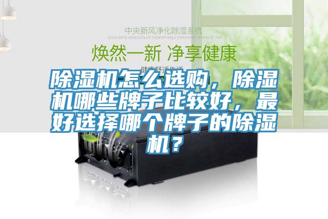 除濕機(jī)怎么選購，除濕機(jī)哪些牌子比較好，最好選擇哪個(gè)牌子的除濕機(jī)？