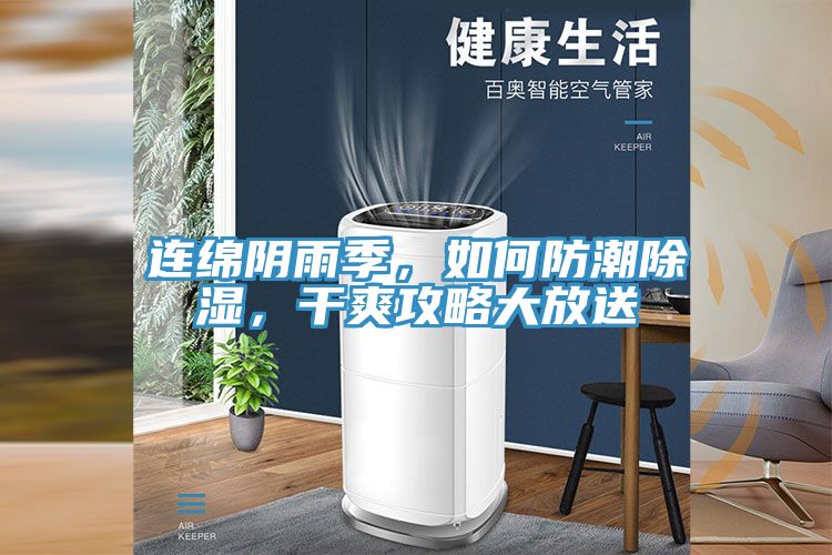 連綿陰雨季，如何防潮除濕，干爽攻略大放送