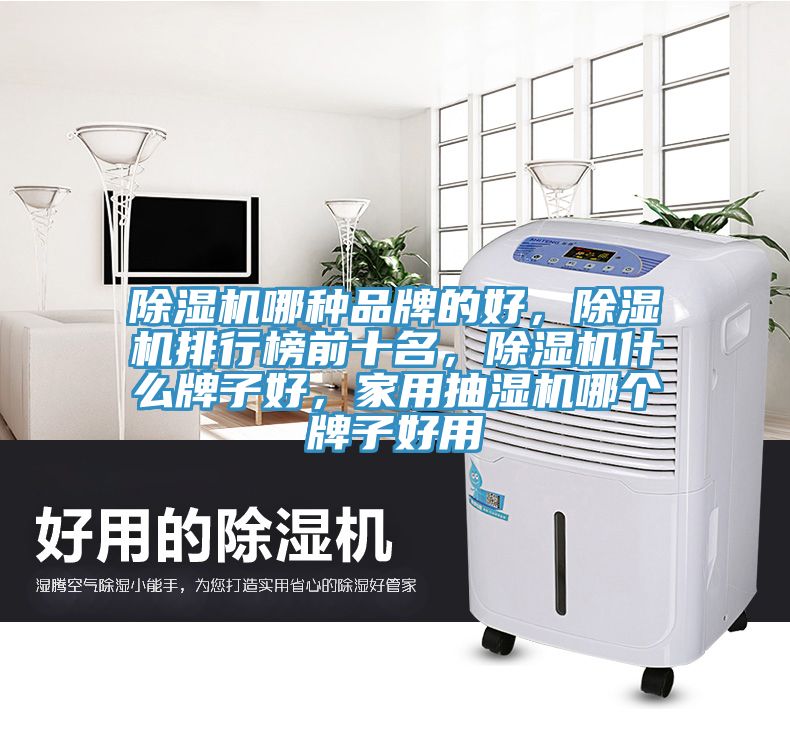 除濕機(jī)哪種品牌的好，除濕機(jī)排行榜前十名，除濕機(jī)什么牌子好，家用抽濕機(jī)哪個(gè)牌子好用