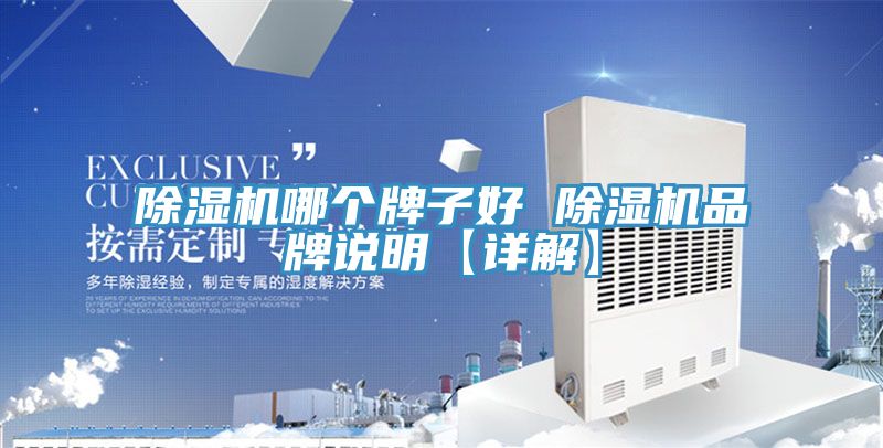 除濕機(jī)哪個牌子好 除濕機(jī)品牌說明【詳解】