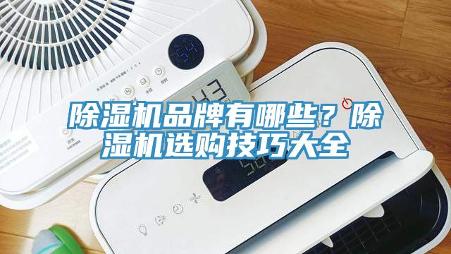 除濕機(jī)品牌有哪些？除濕機(jī)選購(gòu)技巧大全