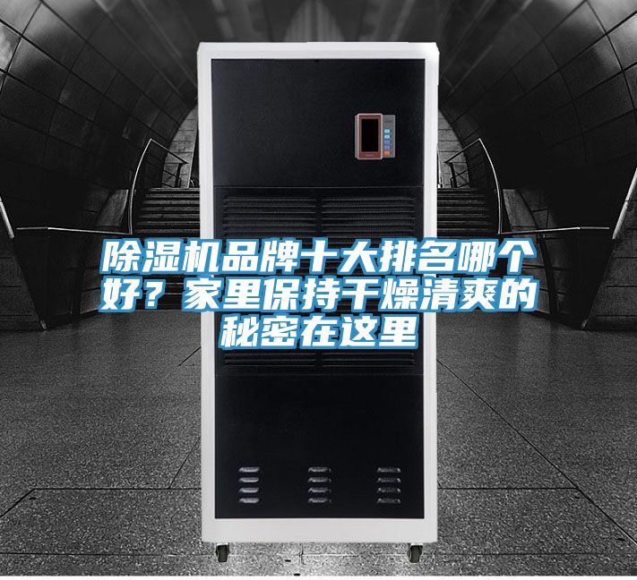 除濕機品牌十大排名哪個好？家里保持干燥清爽的秘密在這里