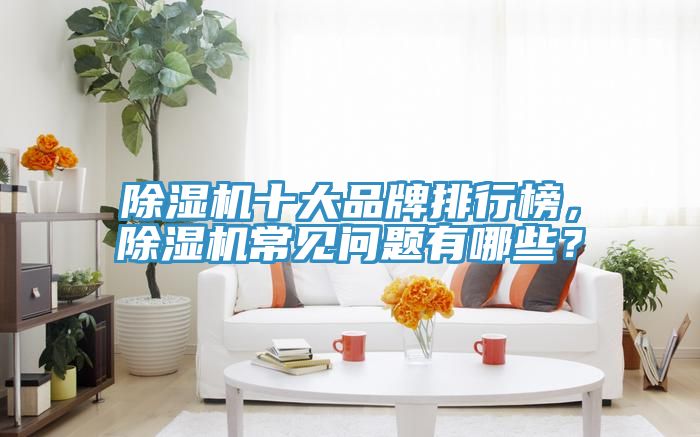 除濕機(jī)十大品牌排行榜，除濕機(jī)常見問題有哪些？