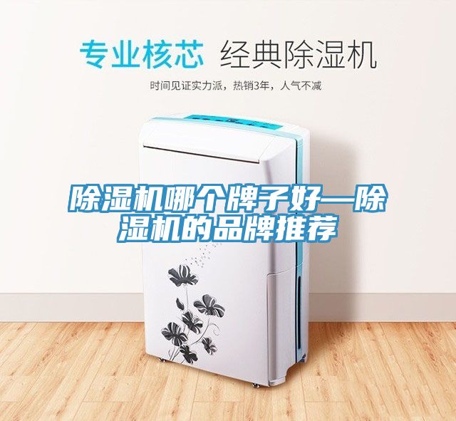 除濕機(jī)哪個牌子好—除濕機(jī)的品牌推薦