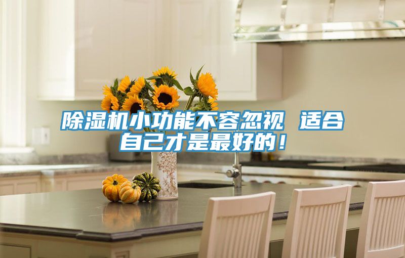 除濕機小功能不容忽視 適合自己才是最好的！
