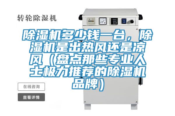 除濕機多少錢一臺，除濕機是出熱風(fēng)還是涼風(fēng)（盤點那些專業(yè)人士極力推薦的除濕機品牌）