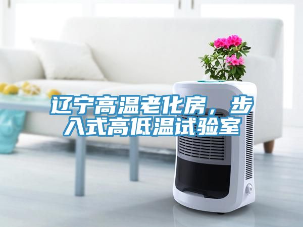 遼寧高溫老化房，步入式高低溫試驗(yàn)室