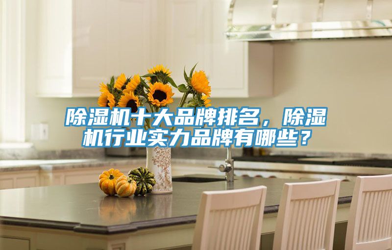 除濕機(jī)十大品牌排名，除濕機(jī)行業(yè)實(shí)力品牌有哪些？