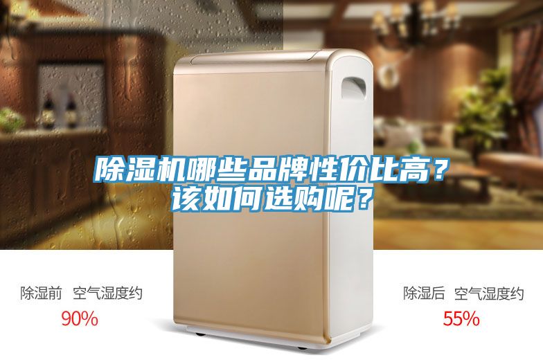 除濕機(jī)哪些品牌性價(jià)比高？該如何選購呢？